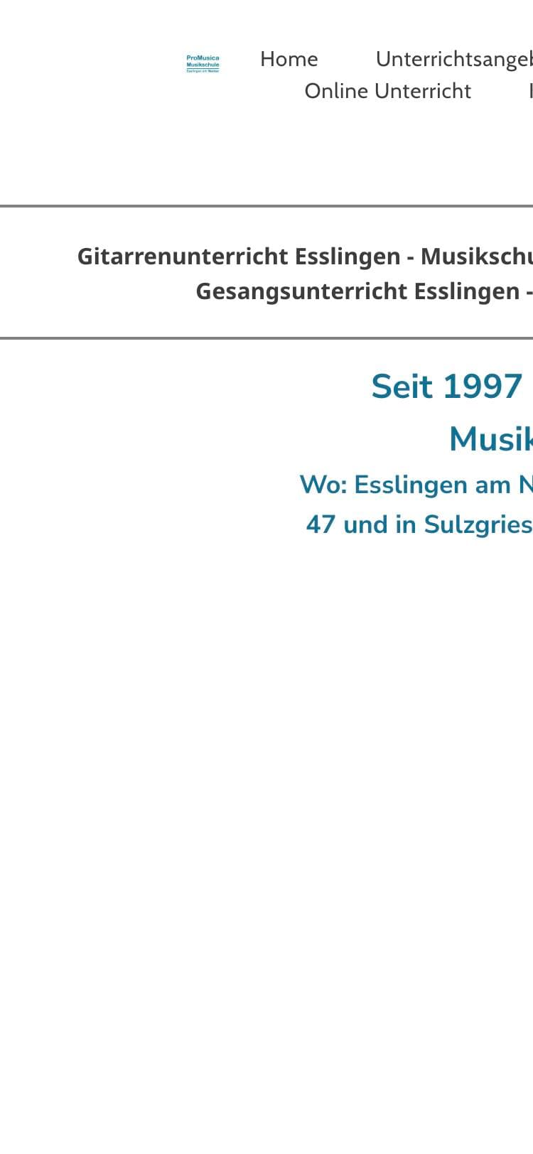 Bisherige Seite auf dem Handy: Der Text läuft rechts aus dem Bild.